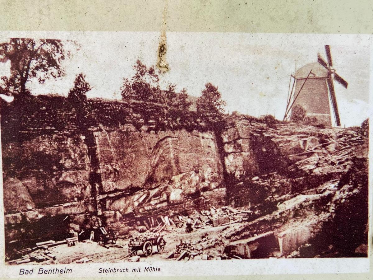 "An Der Alten Muehle 1" Fewo 120 Qm, Zwei Grosse Schlafzimmer, Suedbalkon, Gartenterrasse & Wallbox Bad Bentheim Exterior photo
